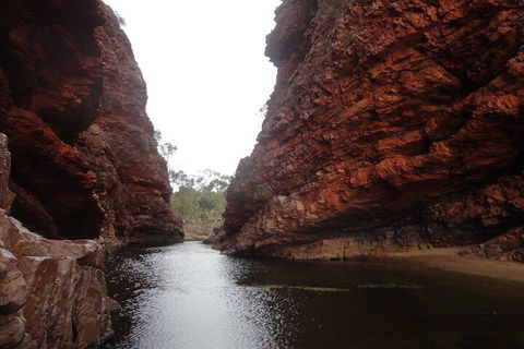 West MacDonnell Ranges Half - Day Tour - Accommodation Rockhampton 4