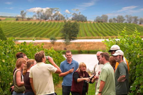 Yarra Valley Wine And Winery Tour From Melbourne - Accommodation Rockhampton 0