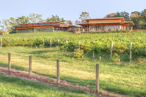 Yarra Valley Wine And Winery Tour From Melbourne - Accommodation Rockhampton 1