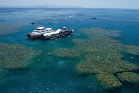 Cruise To Moore Reef Pontoon And Return Helicopter Flight From Cairns - Accommodation Rockhampton 0