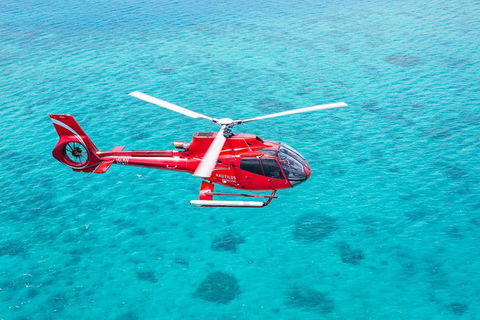 Cruise To Moore Reef Pontoon And Return Helicopter Flight From Cairns - Accommodation Rockhampton 1