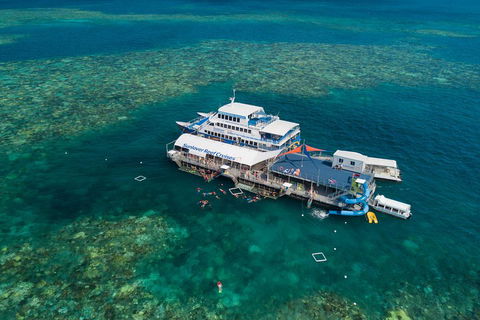Cruise To Moore Reef Pontoon And Return Helicopter Flight From Cairns - Accommodation Rockhampton 2