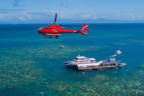 Cruise To Moore Reef Pontoon And Return Helicopter Flight From Cairns - Accommodation Rockhampton 4