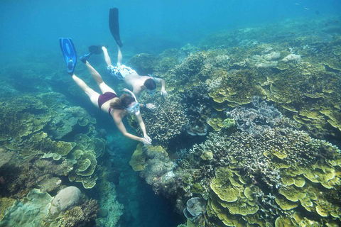 Scenic Helicopter Flight To Moore Reef And Return Snorkeling Cruise From Cairns - Accommodation Rockhampton 1