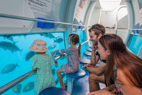 Scenic Helicopter Flight To Moore Reef And Return Snorkeling Cruise From Cairns - Accommodation Rockhampton 3