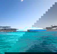 Fremantle to Rottnest Island Roundtrip Ferry Ticket - Accommodation Rockhampton