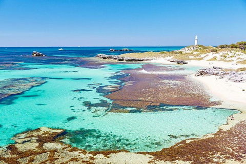 Fremantle To Rottnest Island Roundtrip Ferry Ticket - Accommodation Rockhampton 2