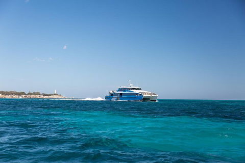 Fremantle To Rottnest Island Roundtrip Ferry Ticket - Accommodation Rockhampton 5