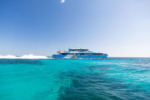 Rottnest Island All-Inclusive Grand Island Tour From Fremantle - Accommodation Rockhampton 0