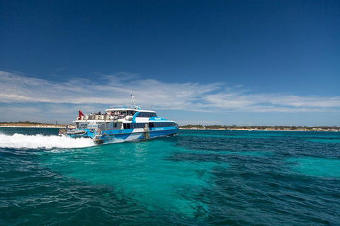 Rottnest Island All-Inclusive Grand Island Tour From Fremantle - Accommodation Rockhampton 3