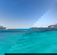 Rottnest Island Fortress Adventure Segway Package from Fremantle - Accommodation Rockhampton