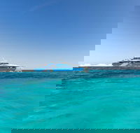 Rottnest Island Bayseeker Day Trip from Perth - Accommodation Rockhampton