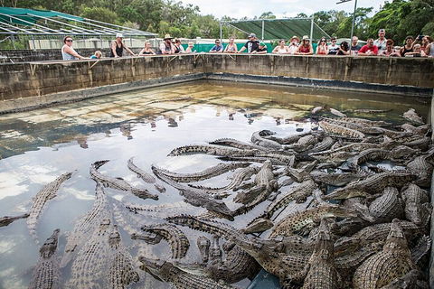Hartley's Crocodile Adventures Day Trip From Cairns - Accommodation Rockhampton 0