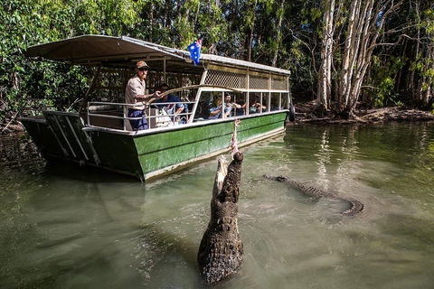 Hartley's Crocodile Adventures Day Trip From Cairns - Accommodation Rockhampton 2