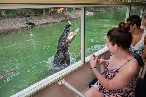 Hartley's Crocodile Adventures Day Trip From Cairns - Accommodation Rockhampton 3