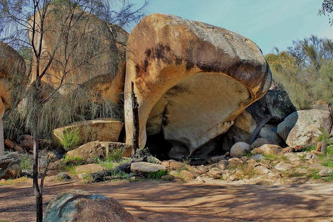 Wave Rock & Rottnest Island - Air & Ground Tour - Accommodation Rockhampton 4