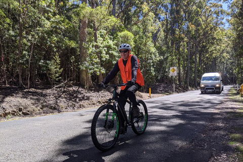 Mount Wellington Descent Cycling Tour Departs Hobart - Accommodation Rockhampton 3