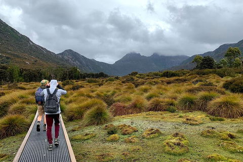 3 Day Tasmanian Wild West Coast Tour From Hobart To Launceston - Accommodation Rockhampton 3