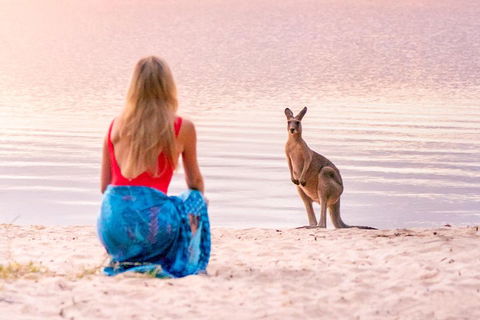 Serenity Cruise To Australia's Everglades - Accommodation Rockhampton 3