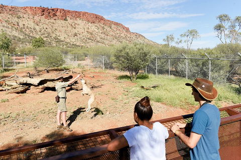 Alice Springs Desert Park General Entry Ticket - Accommodation Rockhampton 4