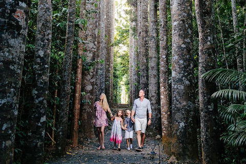 The Original Day Tour To Paronella Park, Lake Barrine And Millaa Millaa Falls - Accommodation Rockhampton 1