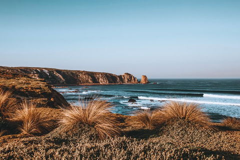 Small Group - Phillip Island Hike & Penguin Parade Day Tour From Melbourne - Accommodation Rockhampton 0
