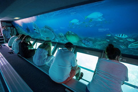 Great Barrier Reef Day Cruise To Reefworld - Accommodation Rockhampton 0