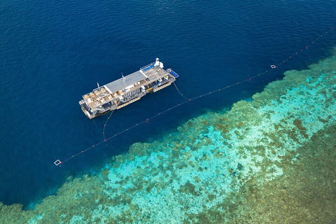 Great Barrier Reef Day Cruise To Reefworld - Accommodation Rockhampton 2