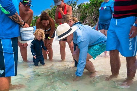 Whitehaven Beach And Hamilton Island Cruise - Accommodation Rockhampton 1