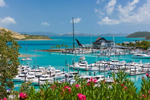 Whitehaven Beach And Hamilton Island Cruise - Accommodation Rockhampton 3