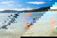 Book Viator Accommodation Vacations Accommodation Rockhampton Accommodation Rockhampton