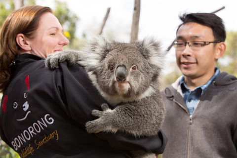 Bonorong Wildlife Park And Richmond Afternoon Tour From Hobart - Accommodation Rockhampton 0