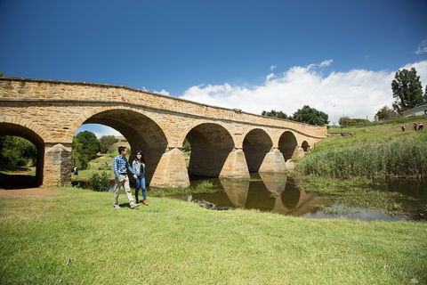 Bonorong Wildlife Park And Richmond Afternoon Tour From Hobart - Accommodation Rockhampton 2