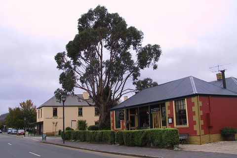 Bonorong Wildlife Park And Richmond Afternoon Tour From Hobart - Accommodation Rockhampton 3
