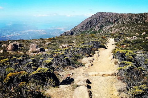 Mount Wellington Ultimate Experience Tour From Hobart - Accommodation Rockhampton 5