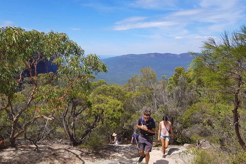 Blue Mountains Unique Small-Group Day Adventure With BBQ Lunch - Accommodation Rockhampton 3
