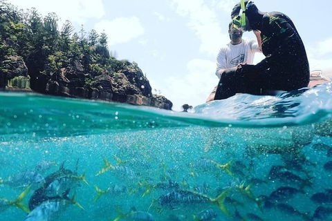 2 Night Small Group Whitsundays Sailing Adventure Aboard Mandrake - Accommodation Rockhampton 5