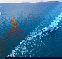 2-Night Whitsunday Islands Sailing Adventure on Trimaran Avatar - Accommodation Rockhampton