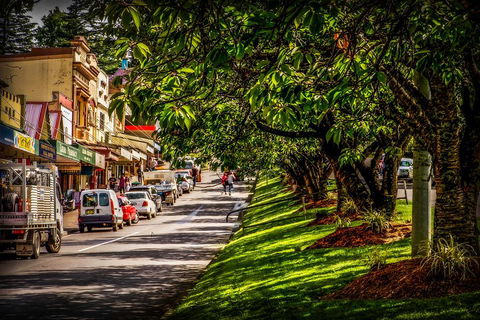 Fully Inclusive Blue Mountains Private Tour Inc Scenic World & Featherdale Entry - Accommodation Rockhampton 0
