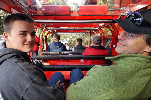 Fully Inclusive Blue Mountains Private Tour Inc Scenic World & Featherdale Entry - Accommodation Rockhampton 1