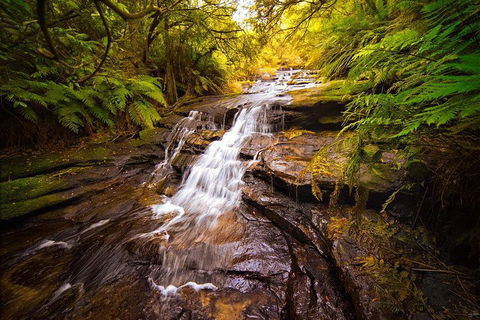 Fully Inclusive Blue Mountains Private Tour Inc Scenic World & Featherdale Entry - Accommodation Rockhampton 3