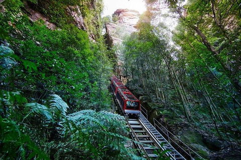Fully Inclusive Blue Mountains Private Tour Inc Scenic World & Featherdale Entry - Accommodation Rockhampton 4