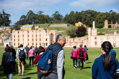 Port Arthur Express Shuttle - Accommodation Rockhampton 4
