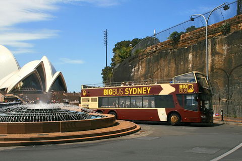 Big Bus Sydney And Bondi Hop-on Hop-off Tour - Accommodation Rockhampton 3
