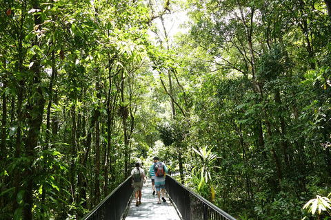 Daintree Dreaming Traditional Aboriginal Fishing From Cairns Or Port Douglas - Accommodation Rockhampton 3