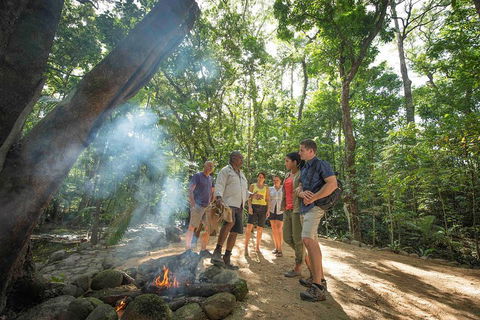 Daintree Dreaming Traditional Aboriginal Fishing From Cairns Or Port Douglas - Accommodation Rockhampton 5