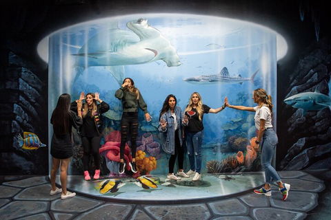 ArtVo Immersive Gallery Experience - Accommodation Rockhampton 2