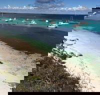 Experience Rottnest with Ferry  Bike Hire from Perth or Fremantle - Accommodation Rockhampton