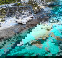 Rottnest Island Round-Trip Ferry from Perth or Fremantle - Accommodation Rockhampton