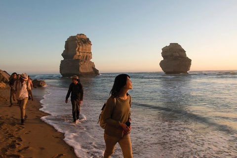 Full-Day Great Ocean Road And 12 Apostles Sunset Tour From Melbourne - Accommodation Rockhampton 4